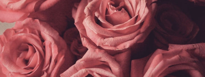LES FLEURS QUE LES ACTEURS DE WEDNESDAY AURAIT EU À LA NEVERMORE ACADEMY