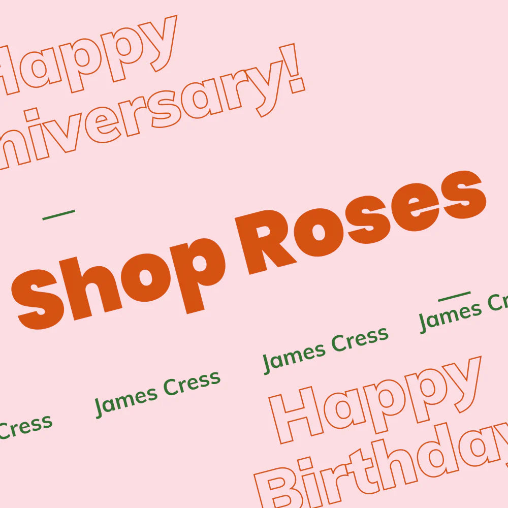 Pink background with bold text encouraging customers to 'Shop Roses' for occasions like 'Happy Anniversary' and 'Happy Birthday', along with multiple instances of the 'James Cress' brand name.