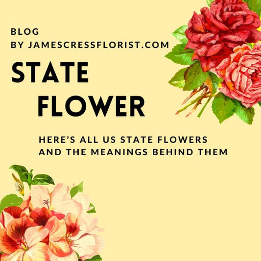 State Flowers and the meanings behind them