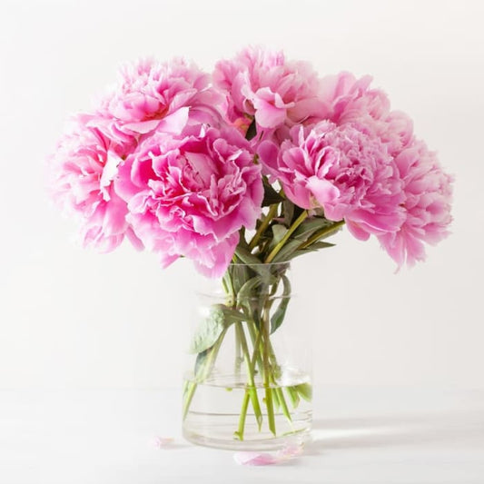 Blissful Pink Peonies Bouquet