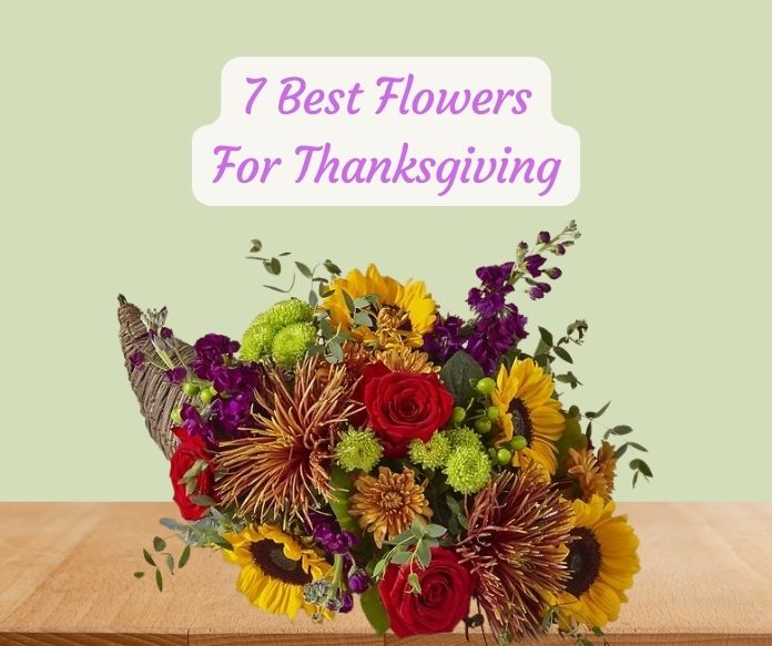 7 Best Flowers for Thanksgiving