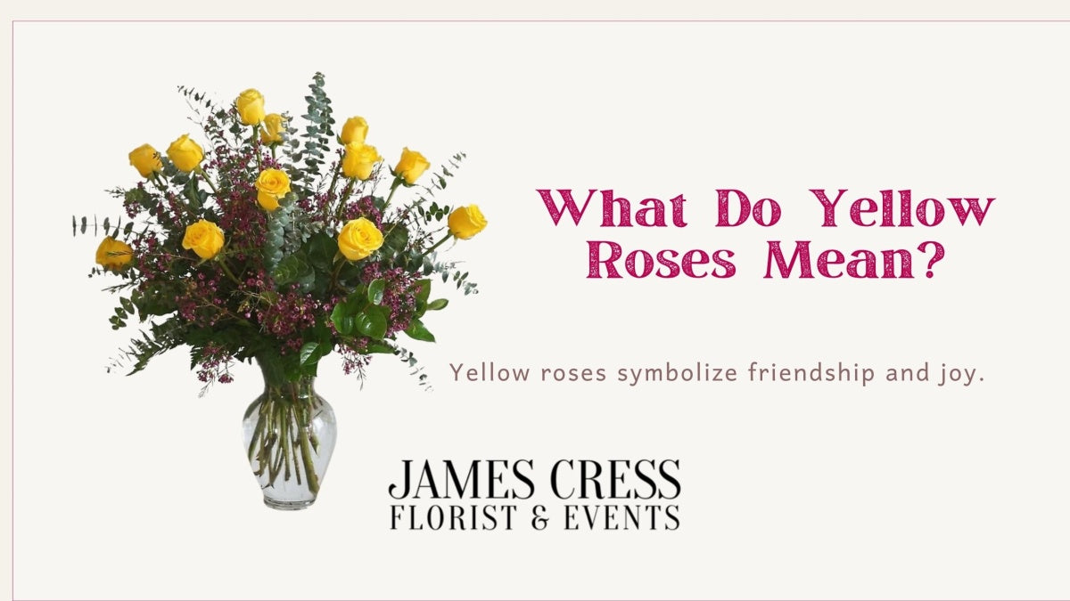 The Meaning of Yellow Roses: Symbolism & History | James Cress Florist