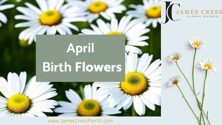 April Birth Flower Meaning: Daisies & Sweet Peas