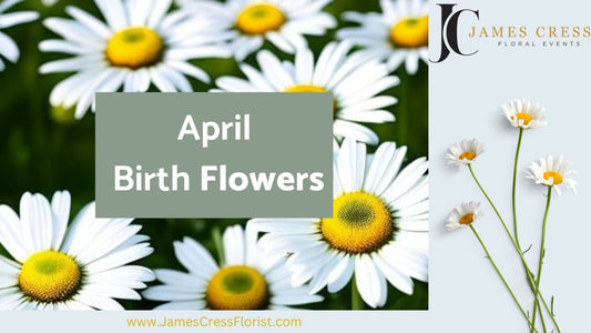 April Birth Flowers meanings
