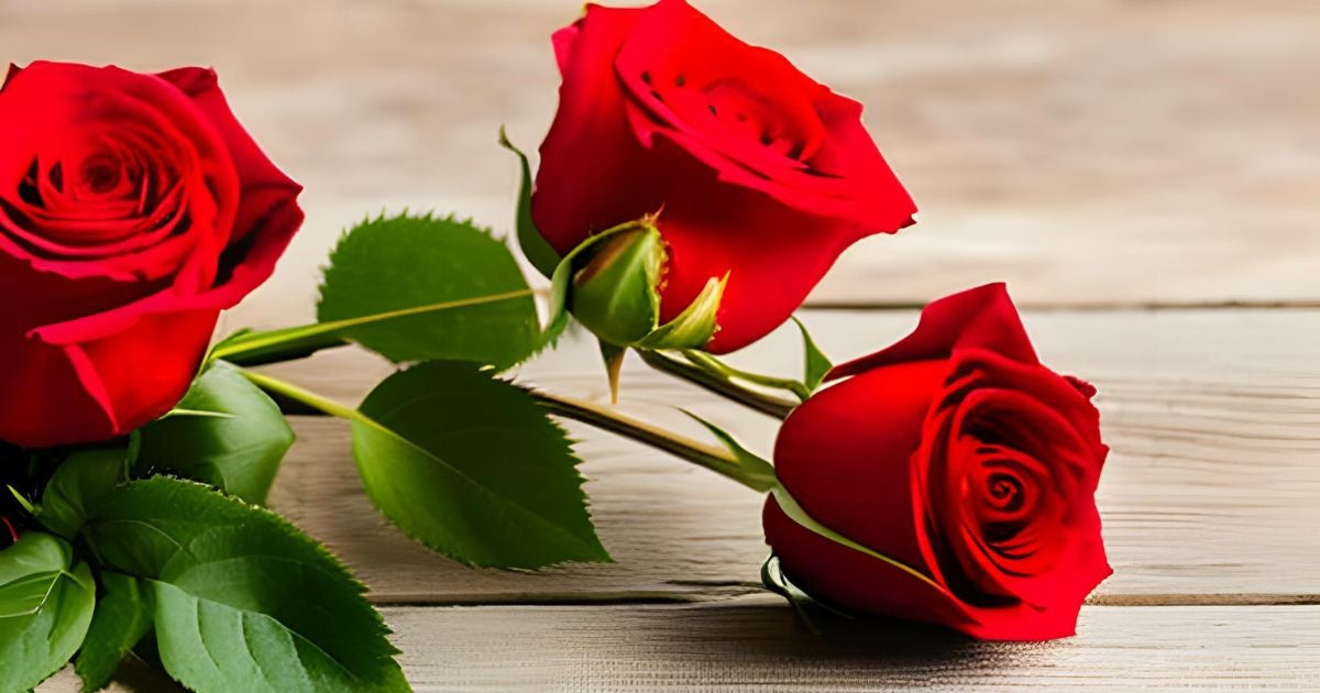 Significado y simbolismo de la rosa roja