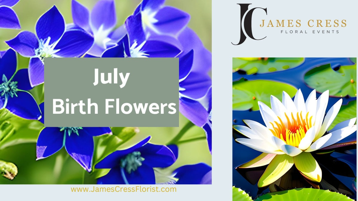 July Birth Flowers: Larkspur and Water Lily Meanings