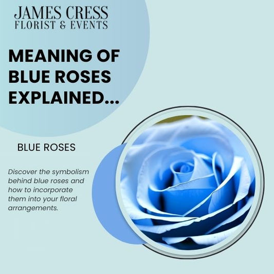 Meaning Of Blue Roses