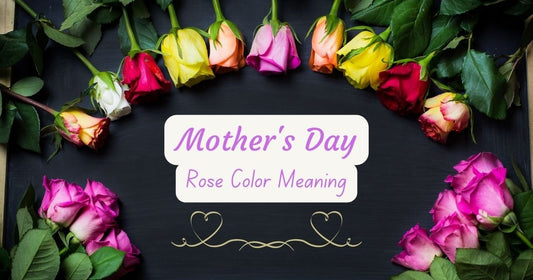Mother's Day Rose Color Meaning