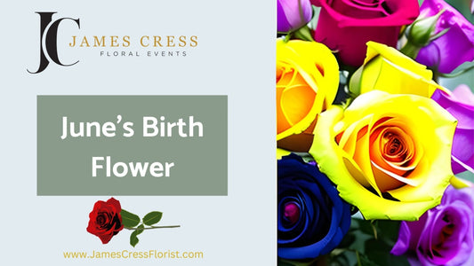 Roses the June birth flower