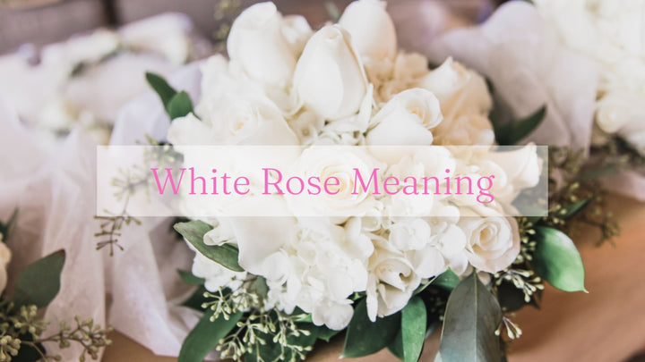 White Rose Meaning and Symbolism