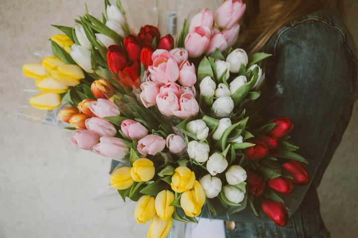 Tulip Color Meanings & Spring Gift Guide