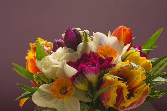 Colorful birth flower bouquet with daffodils and tulips in a vase