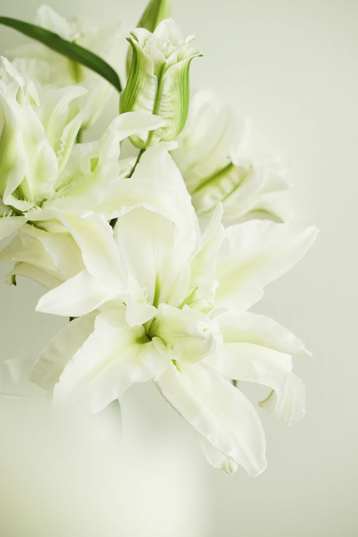 What to Write on Funeral Flowers: Card & Ribbon Etiquette
