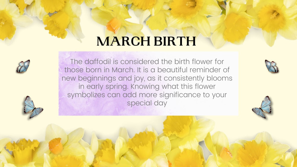 Fleurs de naissance de mars : signification et symbolisme de la jonquille et de la jonquille 