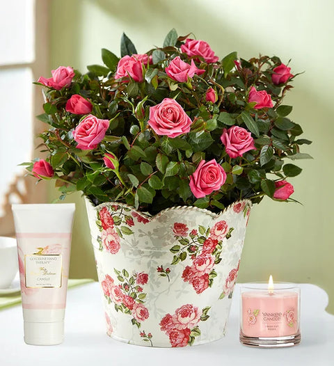Potted & Flowering Plants