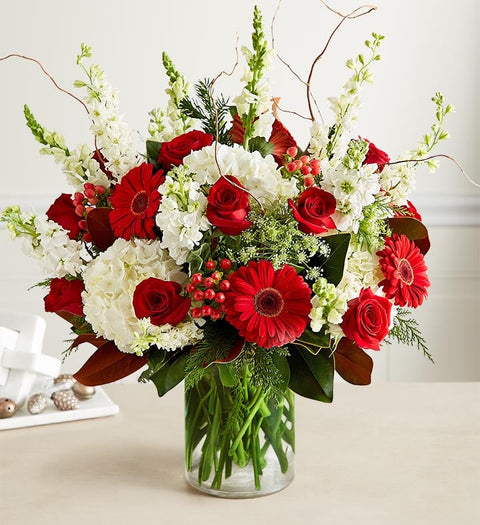 Christmas Flowers