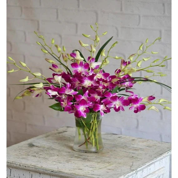 Orchids