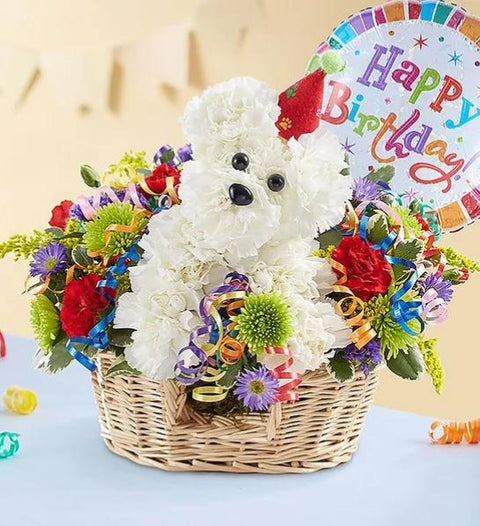 Birthday for Kids