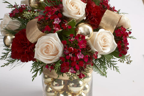 Christmas Roses