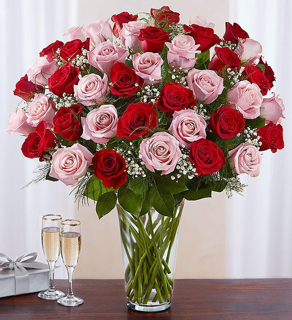 Rosas de tallo largo Deluxe Elegance Rosadas y Rojas