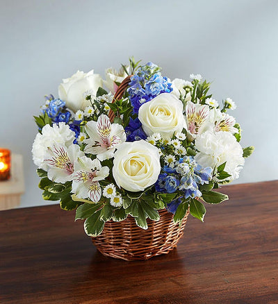 Peace, Prayers & Blessings Blue & White Peace, Prayers & Blessings Blue & White