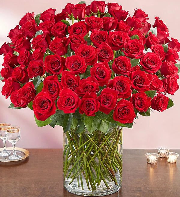 100 roses rouges à longues tiges de qualité supérieure