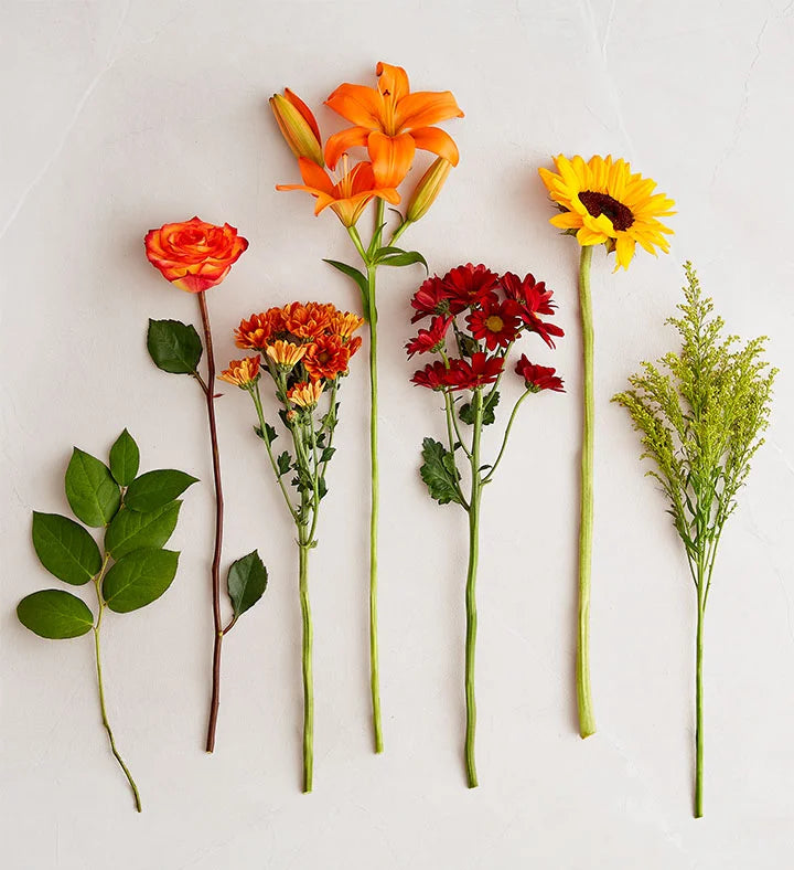 Collection of various flowers on a light background
