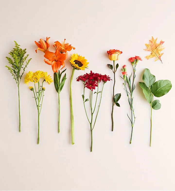 Assorted flowers including tulips, sunflowers, and roses on a light background