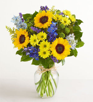 Fields of Europe Summer