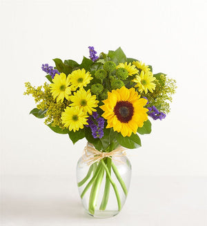 Fields of Europe Summer