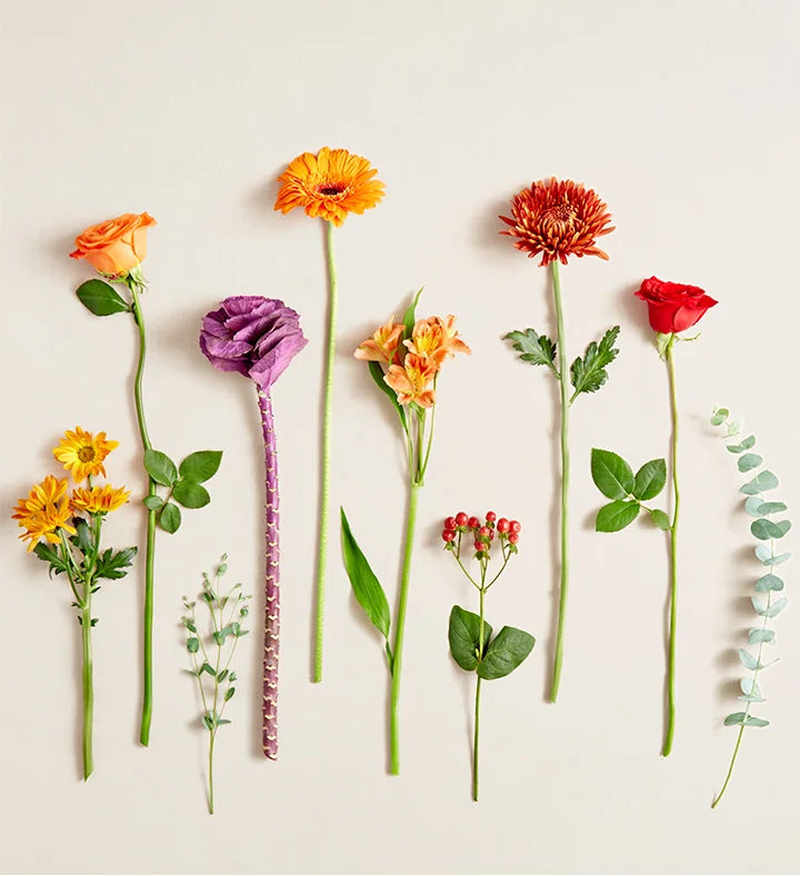 red roses, autumn-colored roses and daisy poms, orange Gerbera daisies and Peruvian lilies (alstroemeria), bronze mums