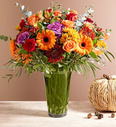 Garden of Grandeur for Fall Garden of Grandeur for Fall