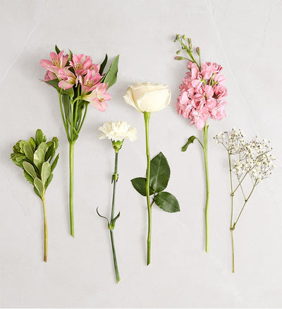 Collection of various flowers on a light gray background Collection of various flowers on a light gray background
