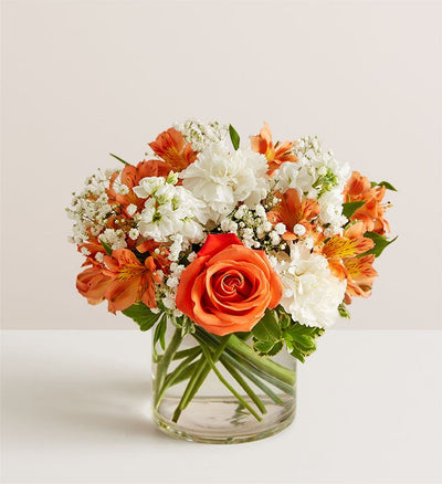 Sweet Citrus Bouquet Sweet Citrus Bouquet