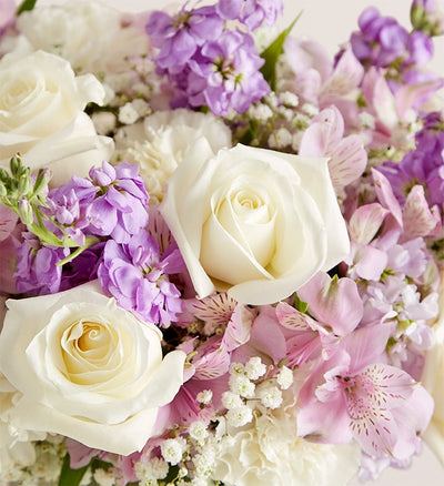 White roses with pink alstroemeria, purple stock, white carnations and baby's breath. White roses with pink alstroemeria, purple stock, white carnations and baby's breath.