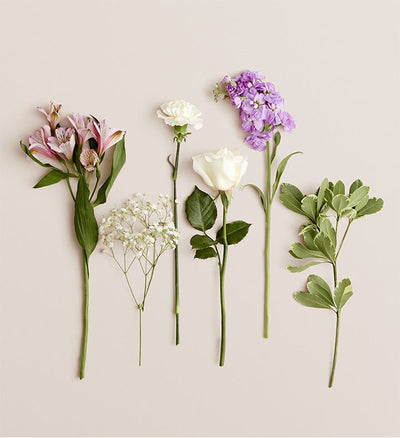 White roses, pink alstroemeria, purple stock, white carnations and baby's breath stems. White roses, pink alstroemeria, purple stock, white carnations and baby's breath stems.
