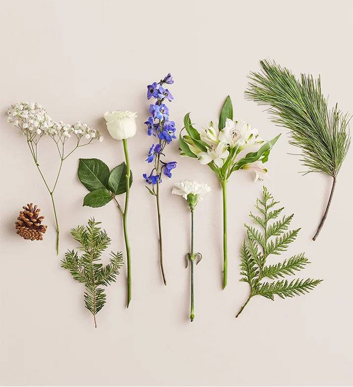 Collection of various flowers and leaves on a light background