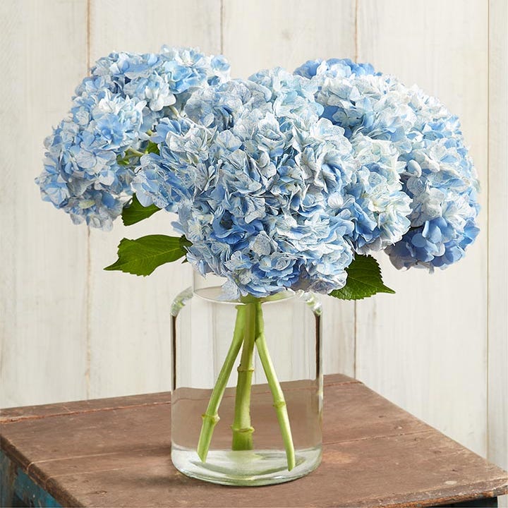 Blissful Blue Hydrangea Bouquet