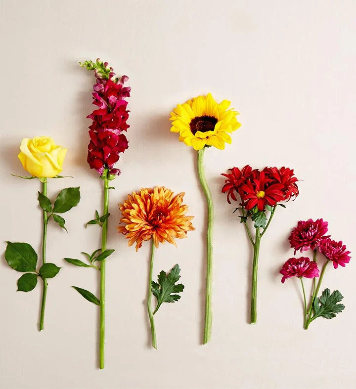 Flowers with yellow roses, sunflowers, purple snapdragons and cushion poms, bronze cremons, red daisy poms