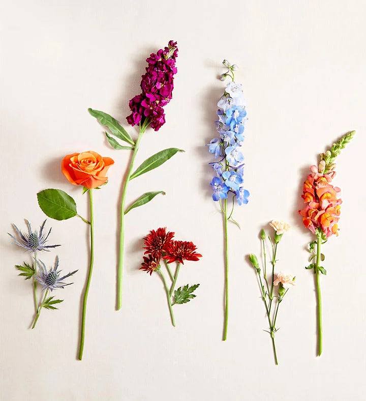 blue thistle and delphinium, orange roses and snapdragons, red cushion poms, peach mini carnations, purple stock, Queen Anne’s Lace