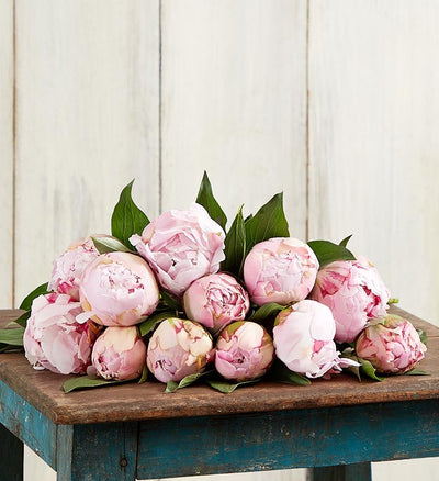 Pink & White Peony Bouquet Pink & White Peony Bouquet