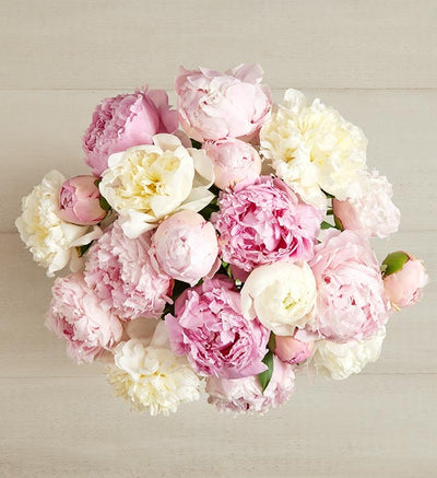 Pink & White Peony Bouquet Pink & White Peony Bouquet