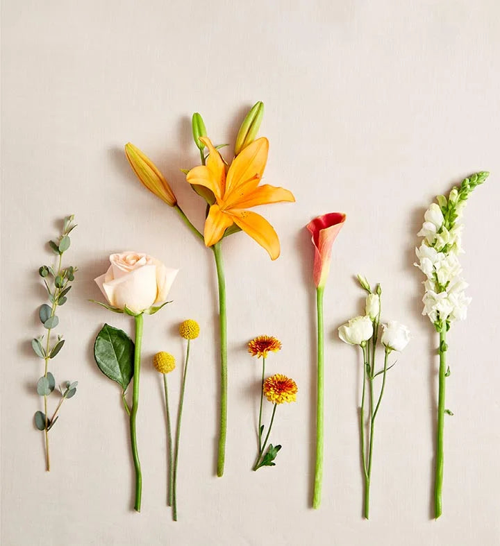 yellow craspedia, orange mini calla lilies and Asiatic lilies, white lisianthus and snapdragons, peach roses, bronze button poms