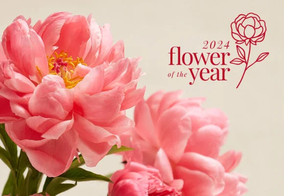2024 flower of the year peony