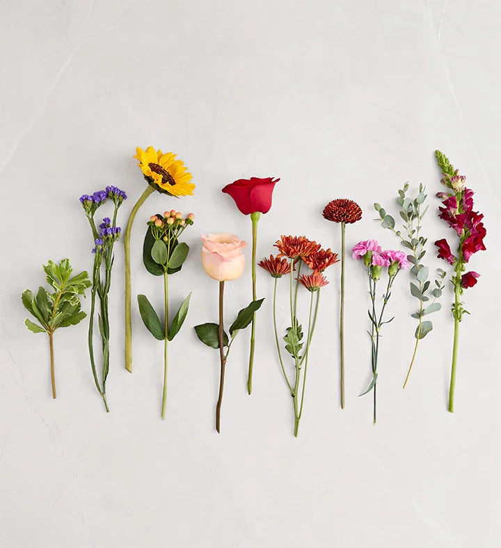 Assorted flowers arranged in a row on a light gray background