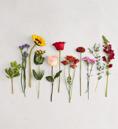 Assorted flowers arranged in a row on a light gray background Assorted flowers arranged in a row on a light gray background