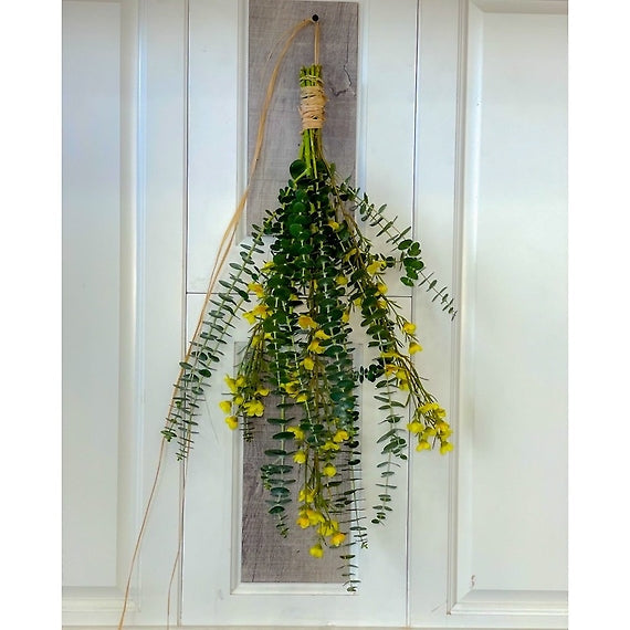 Abonnement mensuel à la douche à l'eucalyptus curative