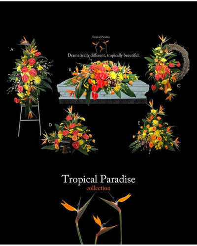 Tropical Paradise Collection Tropical Paradise Collection