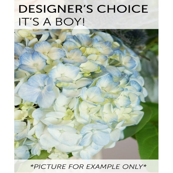 Designers Choice - Its a Boy!