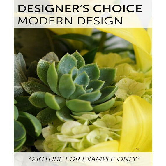 Elección del diseñador: diseño moderno